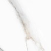 Полированный Керамогранит A-Ceramica AC76509 / 00-00050659 Pelatin Polished 60х120 — фото 2