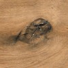 Матовый Absolut Gres Керамогранит Wildwood Ocher 120x20 — фото 4