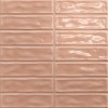 Настенная Absolut Keramika Плитка Sticks Coral 20х20