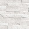 Настенная Alma Ceramica TWU2550DCV14 плитка облицовочная рельефная Discover 24.9х50 — фото 5