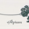 Декор APE Ceramica APE Biselado (Metro) Decor Apium Blanco 10x20