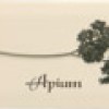 Декор APE Ceramica APE Biselado (Metro) Decor Crema Apium 10x20