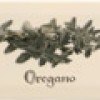 Декор APE Ceramica APE Biselado (Metro) Decor Crema Oregano 10x20