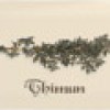 Декор APE Ceramica APE Biselado (Metro) Decor Crema Thimun 10x20