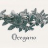 Декор APE Ceramica APE Biselado (Metro) Decor Oregano Blanco 10x20
