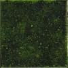 APE Ceramica Genuine (Ape) Плитка настенная Ape Genuine Emerald 10x10