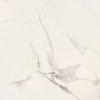 Матовый APE Ceramica APE Mandalay White 60x60