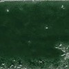 Настенная Плитка APE Ceramica A041164 Pukka Basil Green 6.4х26