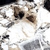 Arcadia Ceramica Керамогранит HG2002-A Grande Crystal 60х120 белый полированный под мрамор, 4 принта — фото 3