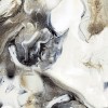 Arcadia Ceramica Керамогранит HG2003-A Liquid Gold 60х120 кофе с молоком полированный под мрамор, 4 принта — фото 4
