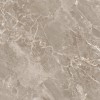 Полированный Arcadia Ceramica MODENA BROWN 60х120 — фото 2