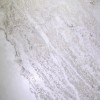 Карвинг Arcadia Ceramica TRIVOLA BIANCO 60х120 — фото 7