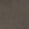 Матовый Atlas Concorde Boost Pro Tobacco 60x120 — фото 2
