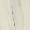 Лаппатированный Atlas Concorde Marvel Dream Marvel Bianco Fantastico 120x120 Lappato — фото 14