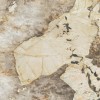 Лаппатированный Atlas Concorde Marvel Gala Desert Soul 120x120 Lappato — фото 2