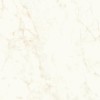 Напольная Atlas Concorde Marvel Shine Marvel Calacatta Delicato 120x120 Matt — фото 3