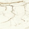 Лаппатированный Atlas Concorde Marvel Shine Marvel Calacatta Imperiale 120x120 Lappato — фото 6