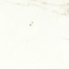 Керамическая Atlas Concorde Marvel Shine Marvel Calacatta Prestigio Scenic Bookm B Lp 120x278 — фото 5