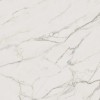 Лаппатированный Atlas Concorde Marvel Calacatta Extra 120x120 Lappato — фото 19