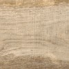 Напольная Azulindus Marti Sabina Crema 25x25