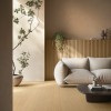 Фото в интерьере Caesar Pure
