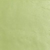 Матовый Casalgrande Padana Architecture Acid Green Gloss 15x60