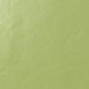 Матовый Casalgrande Padana Architecture Acid Green Gloss 30x30