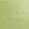 Полированный Casalgrande Padana Architecture Acid Green Levigato 30x60