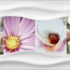Релакс 25Х45 Ceradim Дэк Релакс 1 Декор КВС16Relax1 25х45