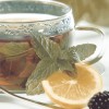 Ceradim Дэк Ти Панно (панно из 2-х шт) КПН16Tea 50х45