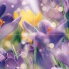 Ceramica Classic Крокус Панно P4D286 80х40 (из 4 плиток)