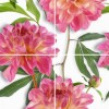 Панно Cerrol  Komplet-4 Bellini Rubin 80x50