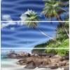 Панно Cerrol Durango Playa-3 B Wave 60x50