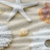 Декор Cerrol  Durango Playa B Centro Wave 20x50