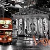 Cerrol  Fibra London Centro Декор 25x60