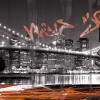 Cerrol  Fibra New York Centro Декор 25x60