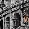 Cerrol  Fibra Roma Centro Декор 25x60