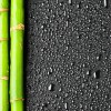 Декор Cerrol  Granit Gotas Centro B 20x50