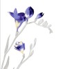 Cerrol  Kwant/Spring Spring bialy 1 centro Декор 25x40