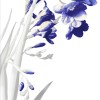 Cerrol  Kwant/Spring Spring bialy 2 centro Декор 25x40