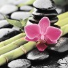 Cerrol Porto Bambu and Orchide Панно 75x60 (3пл)