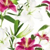 Cerrol Porto Lilium Панно (из 3пл) 75х60 60х75