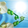 Cerrol  Porto Water Garden В Панно (из 2пл) 60х50 50х60 