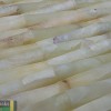 Каменная Chakmaks 3D Fusion Stone Бесшовная 3D из оникса WILD KAMYSH GREEN 1х2х10 см — фото 3