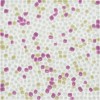 Стеклянная CV11008 Мозаика Colori Viva Crystal 30x30