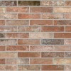 Матовый Dado Ceramica Керамогранит BKN001 Brickone Vecchia Firenze 7,4х31 — фото 5
