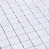 Каменная Мозаика из камня Мозаика DAO-608-15-4 Snow White 30х30 — фото 2
