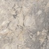 Del Conca Керамогранит G9ME05R Marble Edition Hme 5 Invisible Gray 60х60 Rett Hard серый матовый под мрамор — фото 5
