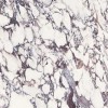 Полированный Delfone Bulgari Dc6M253Bp3 Breccia 120х270
