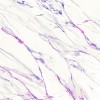 Матовый Delfone Gilt Years Db2M86Br1-Y Gold Vein Marble 12 mm 161х322